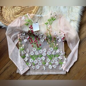 Zara Pink Blush Sheer Tulle Mesh Floral Embroidered Long Sleeve Top Size Medium